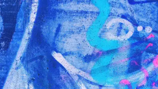 pimg 17