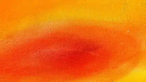 pimg 20