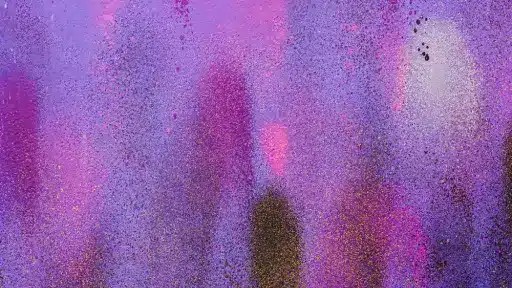 pimg 28